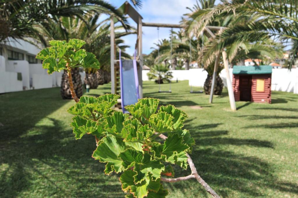 Hotel Torre Praia Porto Santo Eksteriør billede